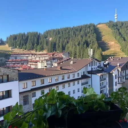 Отель Iva & Elena