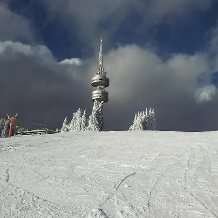 Iva & Elena Отель 3*