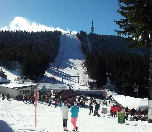 Hotel Iva & Elena 3*